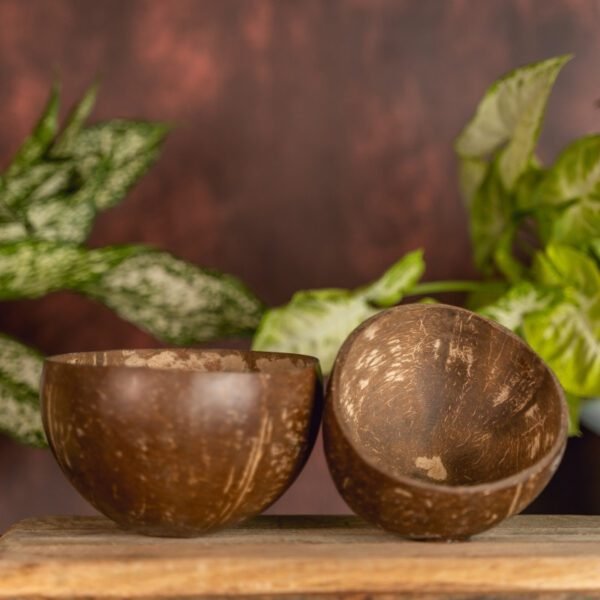 Coconut Shell Bowl | Made from Real Coconuts